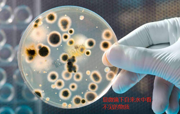 自来水要不要装净水器